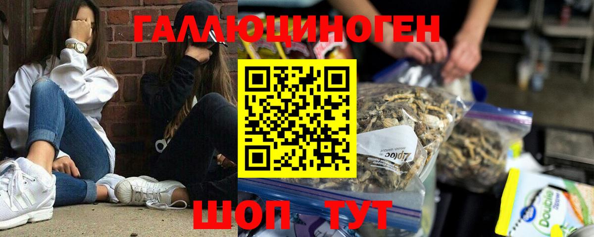 Псилоцибиновые грибы Cubensis  Вход с VPN  наркота  Заречный 